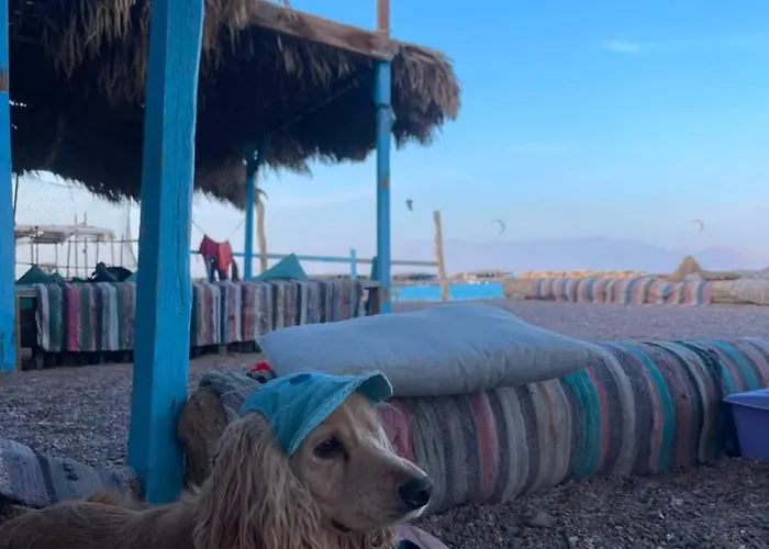 El Omda Blue Lagoon Camp دهب